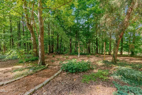 4234 New Hope Springs Drive Hillsborough NC 27278