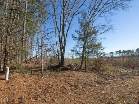 00 Roberts Chapel Road Goldston NC 27252