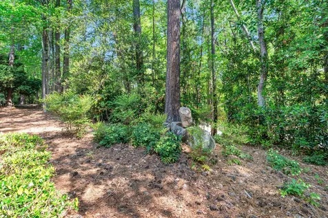 490 Beechmast Pittsboro NC 27312