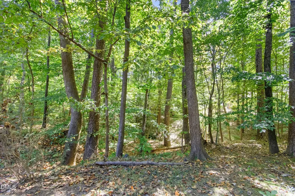 3 Peaceful Place Chapel Hill NC 27517