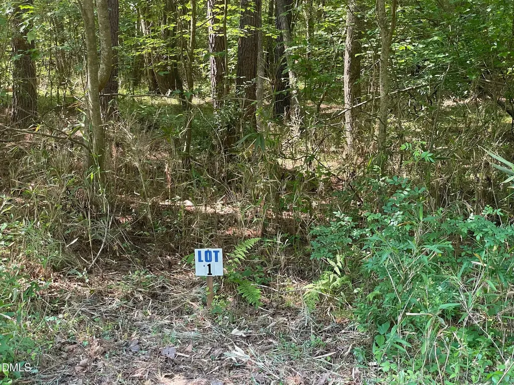 0 N Landmark Road Willow Springs NC 27592