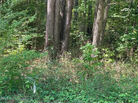 0 N Landmark Road Willow Springs NC 27592
