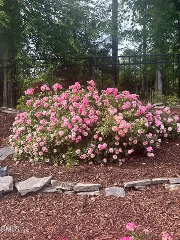 3229 Douglas Fir Road Raleigh NC 27616