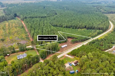 401 Capps Farm Road Hollister NC 27844