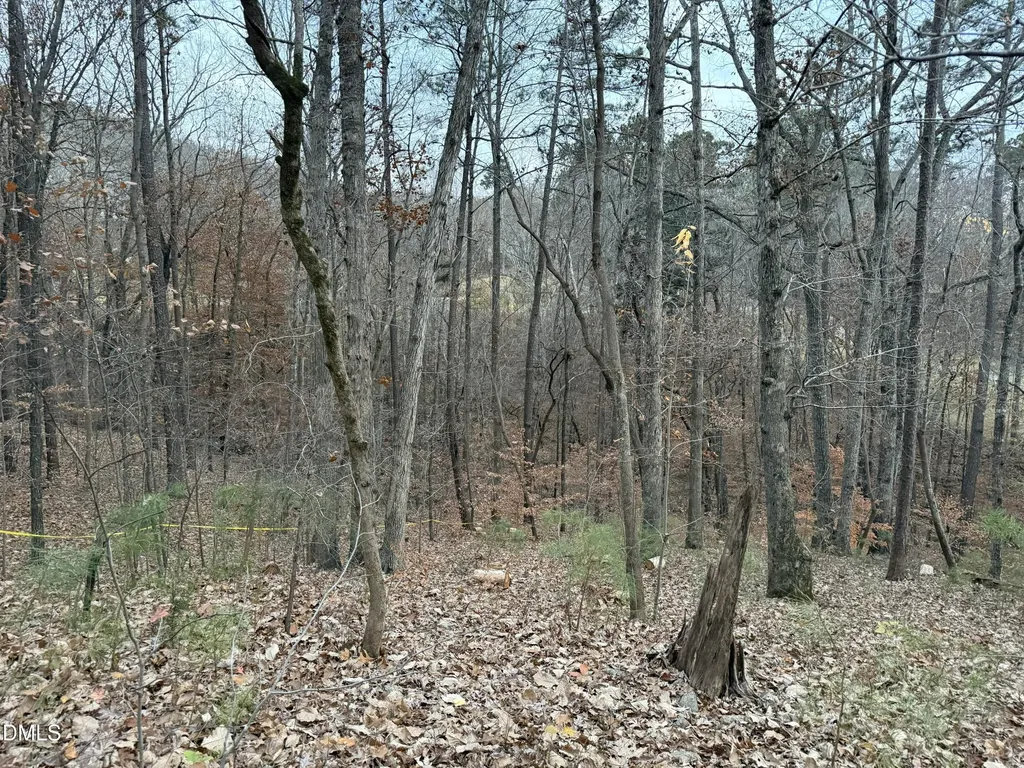 57803 Owen Chapel Hill NC 27517