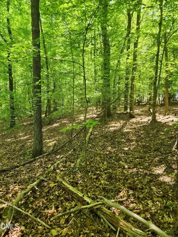 Lot 2 Lylas Lane Efland NC 27243