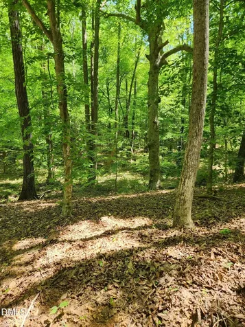 Lot 2 Lylas Lane Efland NC 27243