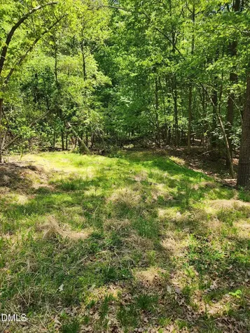 Lot 2 Lylas Lane Efland NC 27243