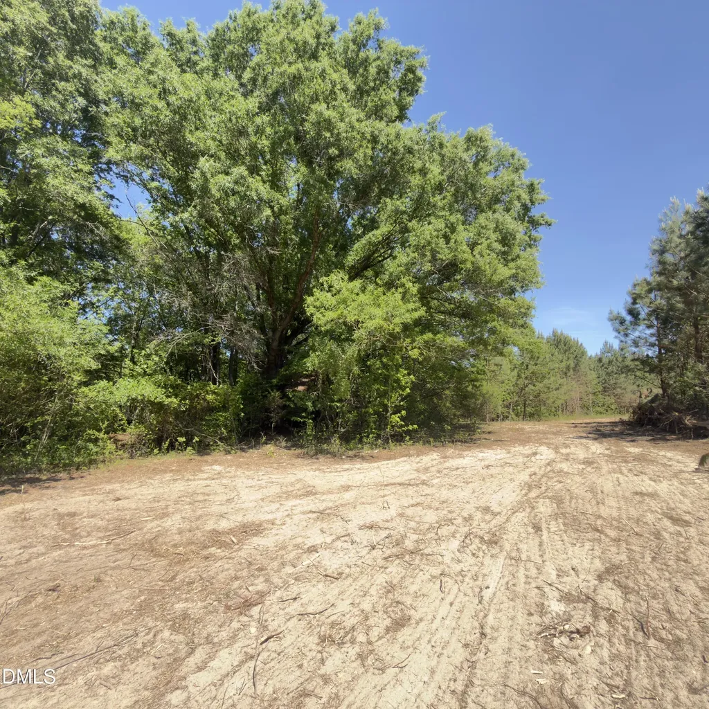 Lot 4 New Creech Road Selma NC 27576