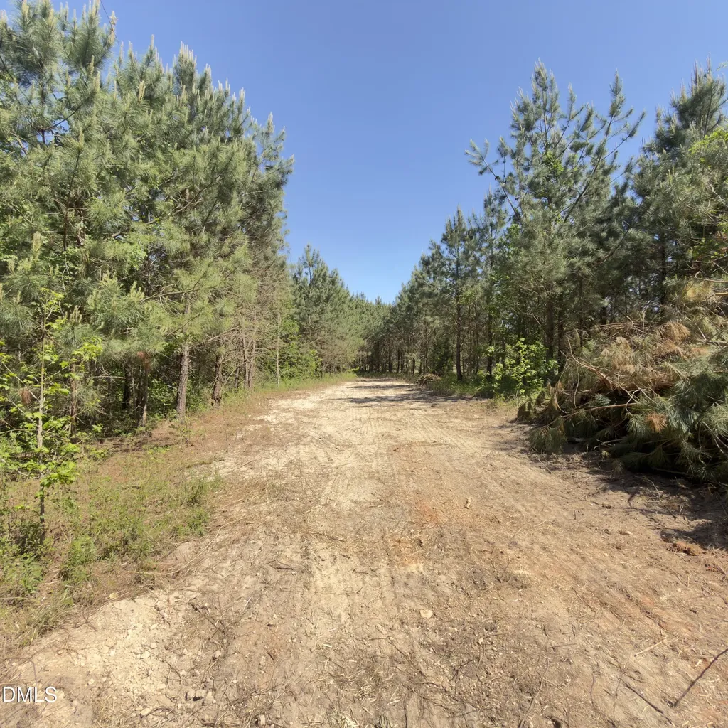 Lot 4 New Creech Road Selma NC 27576