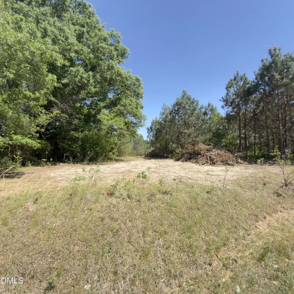 Lot 4 New Creech Road Selma NC 27576