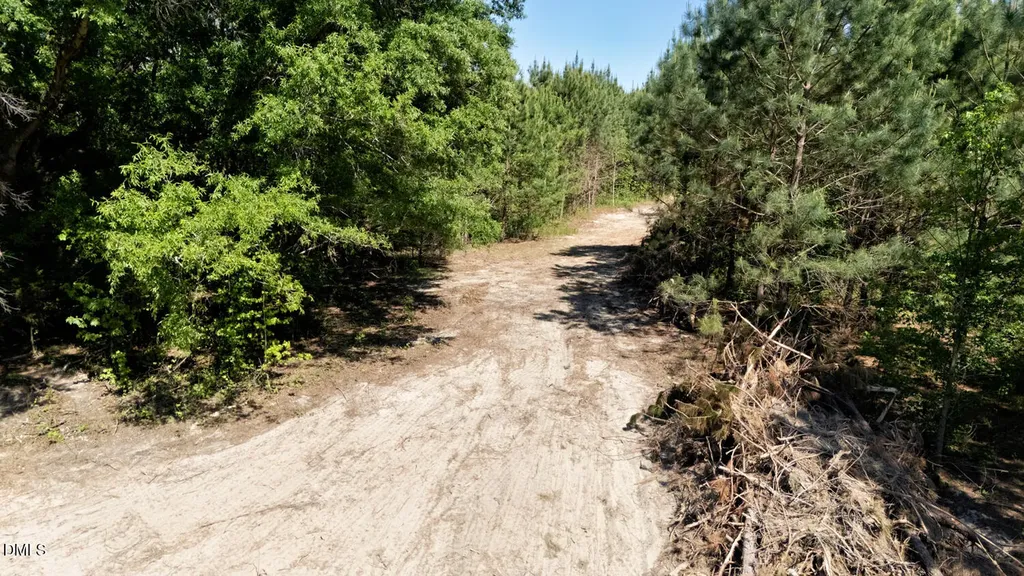 Lot 4 New Creech Road Selma NC 27576