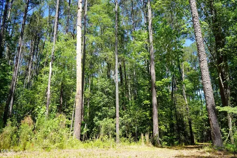 15 Acres Nottingham Lane Sanford NC 27330