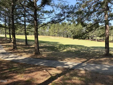 33 Blackhorn Court Pittsboro NC 27312