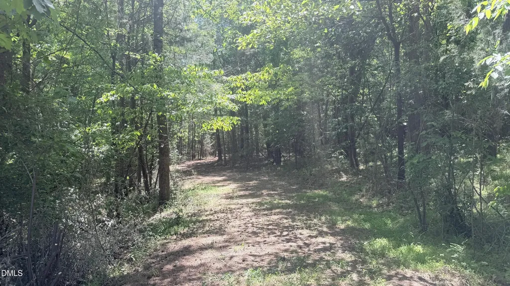 1681 Buckner Clark Road Pittsboro NC 27312