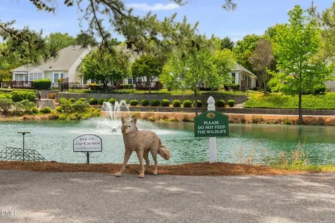431 Sawgrass Hill Court Cary NC 27519