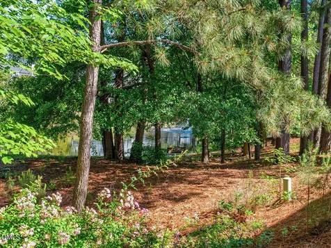 2110 White Pond Court Apex NC 27523