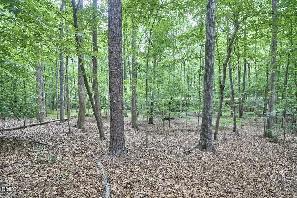 1311 Tallyho Trail Chapel Hill NC 27516