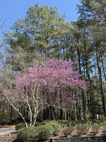 7108 Beaver Trail Apex NC 27502