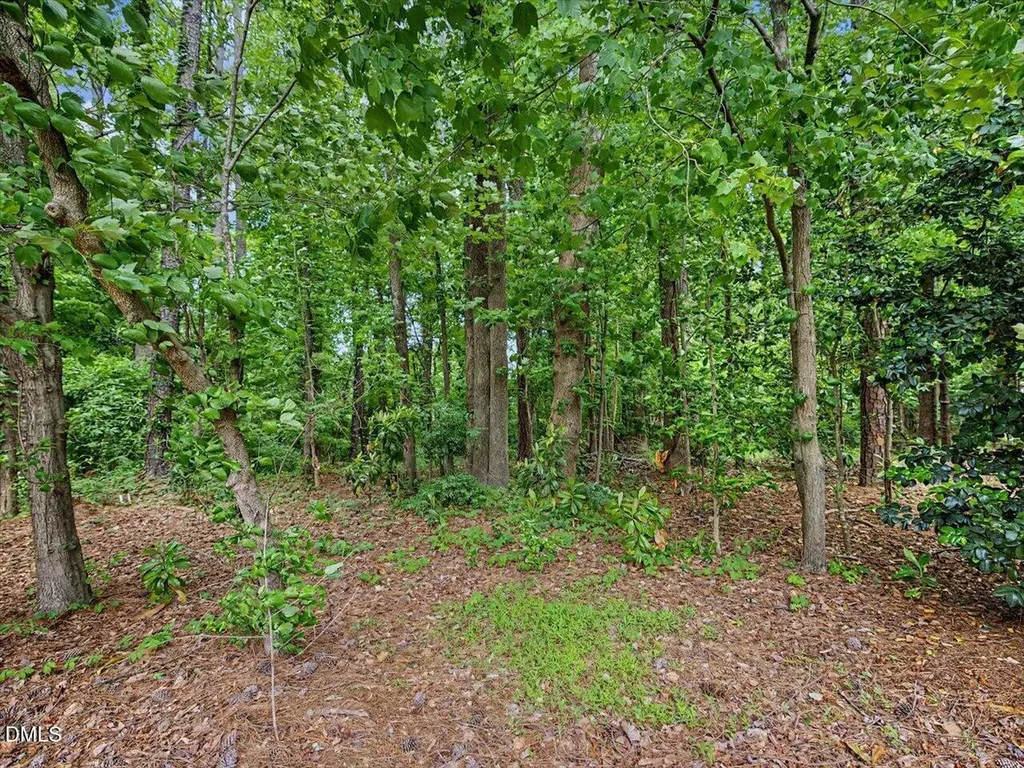 5209 Dutchman Drive Raleigh NC 27606