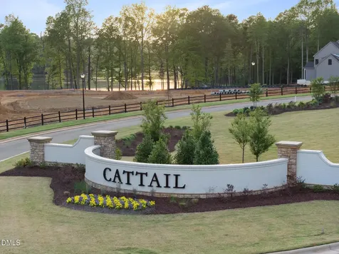 366 Mollie Meadow Drive Zebulon NC 27597