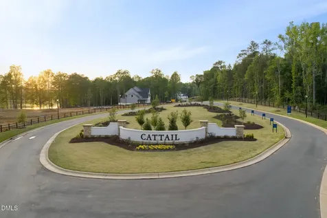 366 Mollie Meadow Drive Zebulon NC 27597