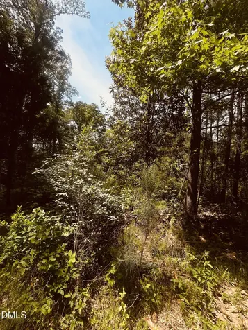 9224 Eisenhower Drive Apex NC 27539