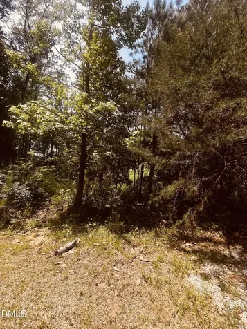9224 Eisenhower Drive Apex NC 27539