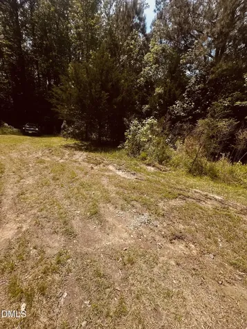 9224 Eisenhower Drive Apex NC 27539