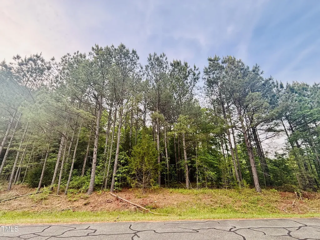 Tbd Alston Horton Service Road Pittsboro NC 27312
