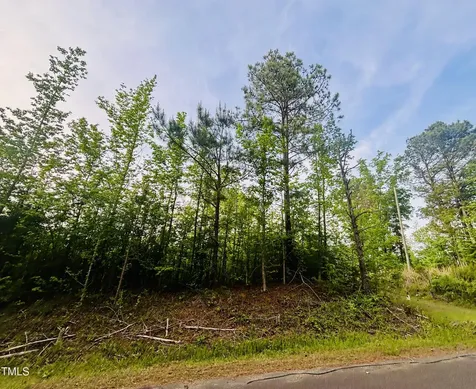 Tbd Alston Horton Service Road Pittsboro NC 27312