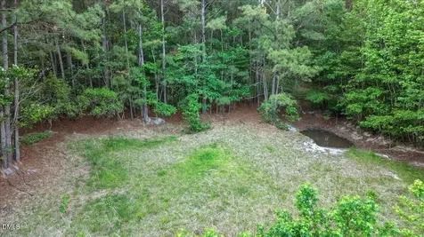 0 Pendergrass Drive Princeton NC 27569