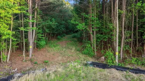 0 Pendergrass Drive Princeton NC 27569