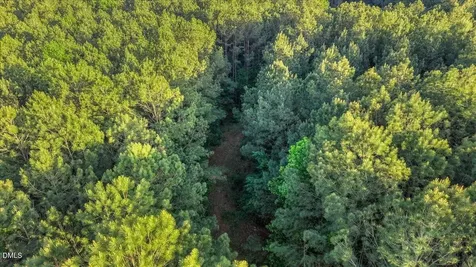 0 Pendergrass Drive Princeton NC 27569