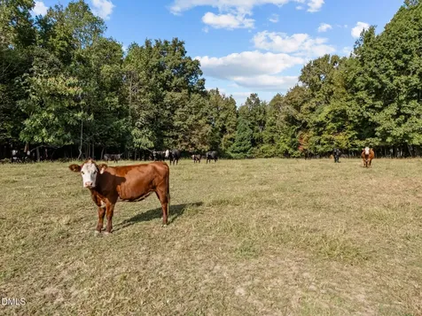 9400 Wheelers Church Road Hurdle Mills NC 27541