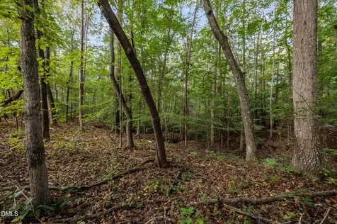 9400 Wheelers Church Road Hurdle Mills NC 27541