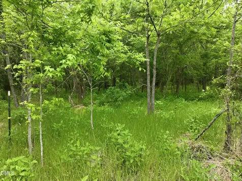 00 George Sherman Rougemont NC 27572