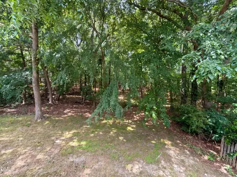 86 Hamilton Hedge Place Cary NC 27519