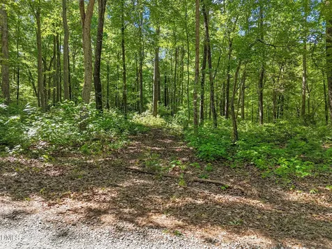 3820 Riversound Lane Hurdle Mills NC 27541