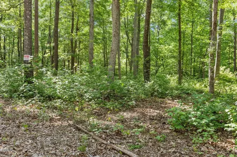 3820 Riversound Lane Hurdle Mills NC 27541