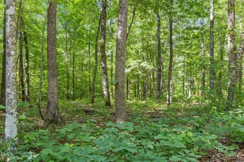3820 Riversound Lane Hurdle Mills NC 27541