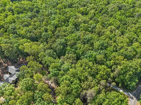 3820 Riversound Lane Hurdle Mills NC 27541