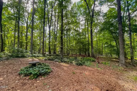 11911 N Roxboro Road Rougemont NC 27572