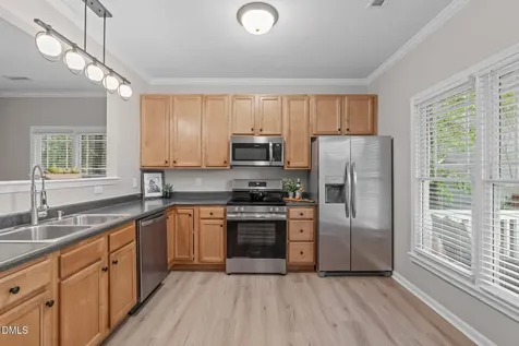 1048 Mica Lamp Court Apex NC 27502