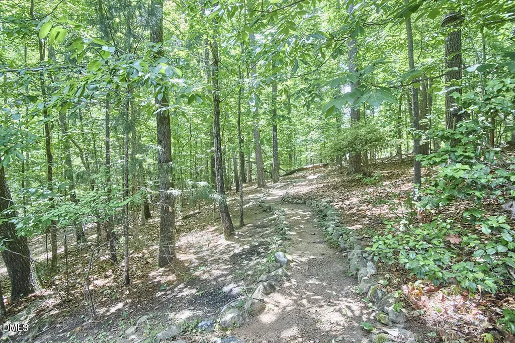 124 Steeplechase Road Chapel Hill NC 27514