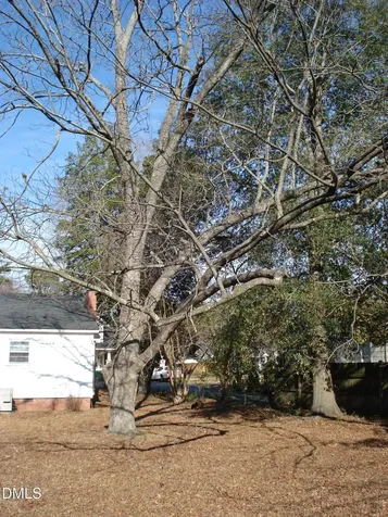 202 N Wayne Avenue Dunn NC 28334