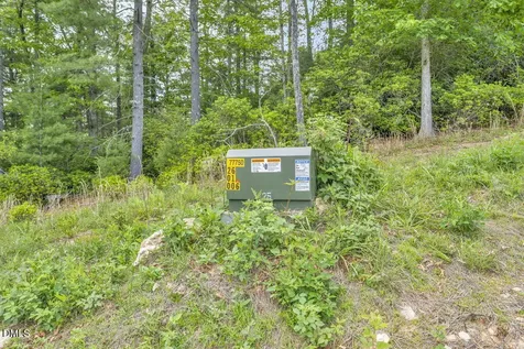 488 Dewitt Road Sparta NC 28675