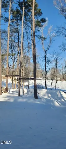 648 Rockbank Loop Wendell NC 27591