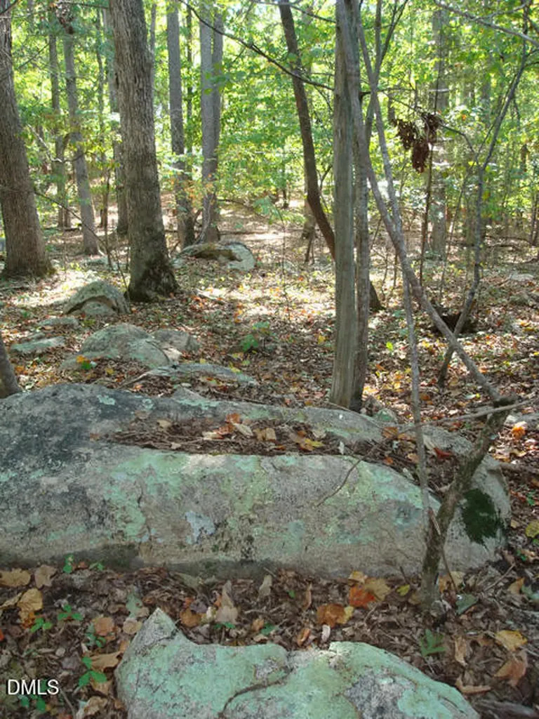 Lot 1 Lodge Trail Chapel Hill NC 27516