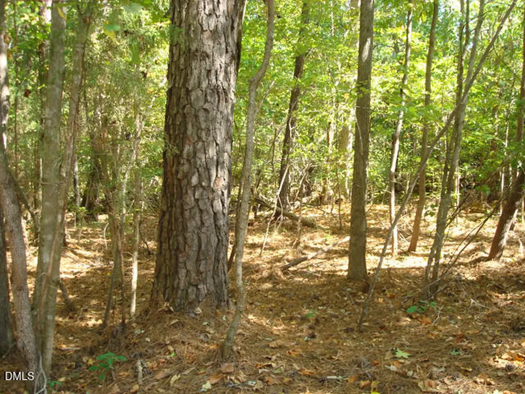 Lot 1 Lodge Trail Chapel Hill NC 27516